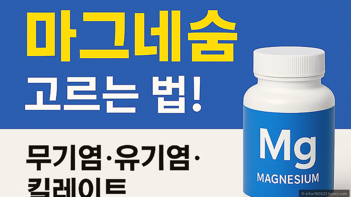마그네슘의 적정 복용법과 복용 시간, 함께 먹으면 좋은 영양소를 안내합니다.